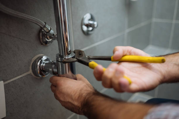 Best Plumbing System Maintenance  in Agler Estates, FL