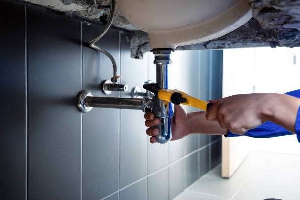 Best Garbage Disposal Repair and Installation  in Agler Estates, FL